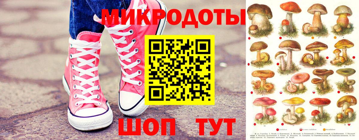наркотики  Псилоцибиновые грибы Psilocybe  Вход с VPN  Омск 